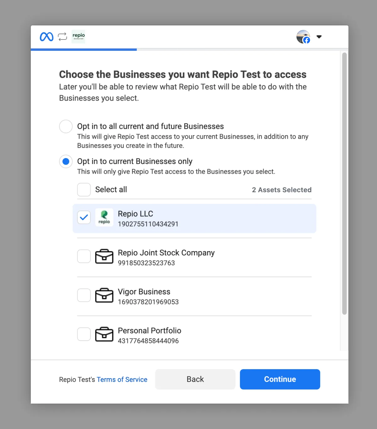Choose the **Business Portfolio** that owns the Page, then click Continue.