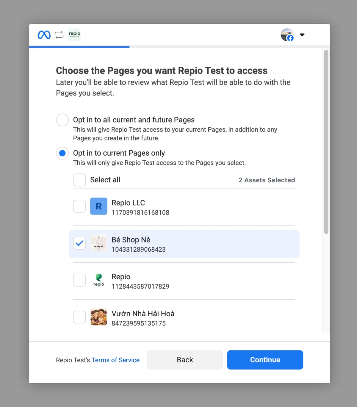 Select **“Opt in to current Pages only”**, then tick the exact Page you are authorizing for marketing.